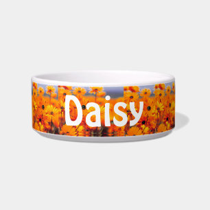 Tigela Daisy Water Bowl para o seu animal de estimação em