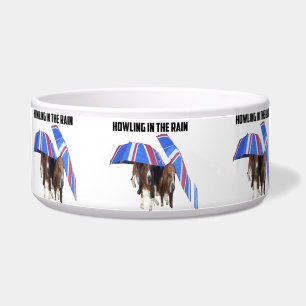 Tigela de animal de estimação uivando na chuva
