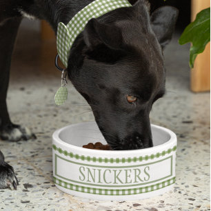 Tigela de cachorro com nome personalizado em verde