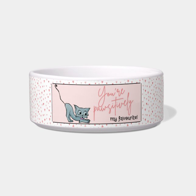 Tigela de Cerâmica para Animais de Estimação (Frente)