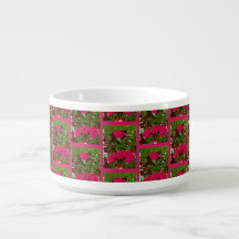 Tigela de Chili Cama de Rosas