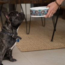 Tigela de Comida para Cachorro Groovy Retro Hippie