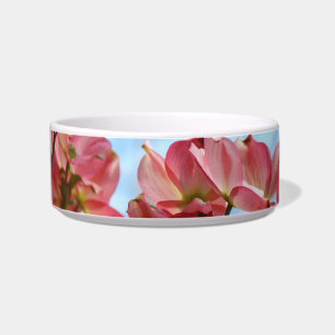 Tigela de Gato Árvore Florescereja Rosa Céu Azul