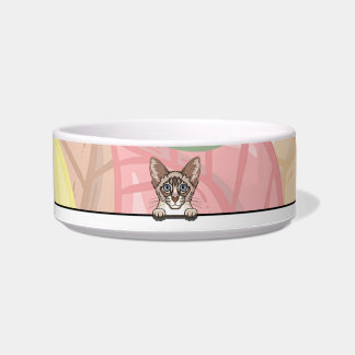 Tigela de gato balinês