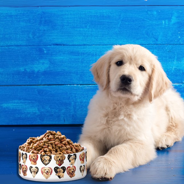 tigela de namorados do Ouro (Charming Valentine Golden Retriever Dog bowl)