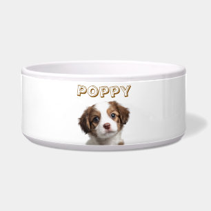 Tigela de Pet com Foto e Nome de Cachorro Personal