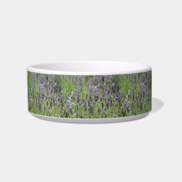 Tigela de Pet Lavanda
