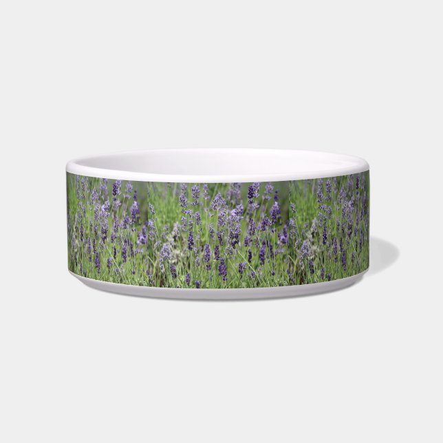 Tigela de Pet Lavanda (Frente)