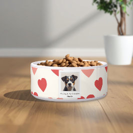 Tigela de Pet Valentine Personalizada Moderna para