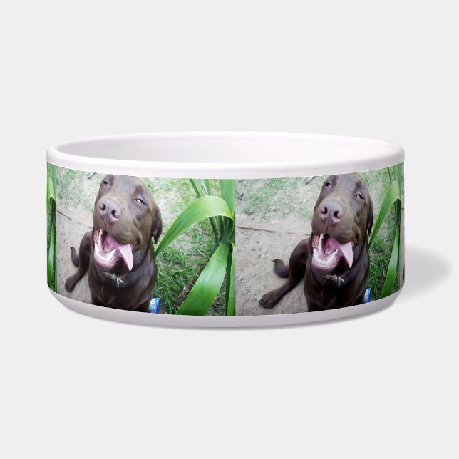 Tigela Delícias do Pateta: Cachorrinho Labrador Chocolate (Frente)