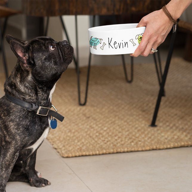 Tigela Doenças Desenhadas Manuais Modelo de Pet Bowl (Criador carregado)