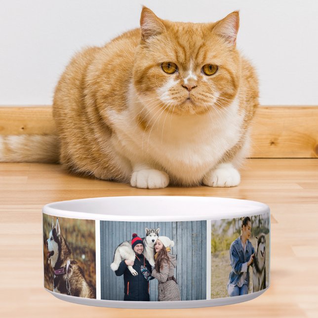 Tigela Dog Cat Pet's Photo Comida Water Drink (Criador carregado)