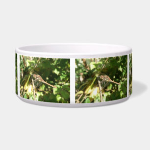 Tigela Dragonfly em um Twig Dog Bowl