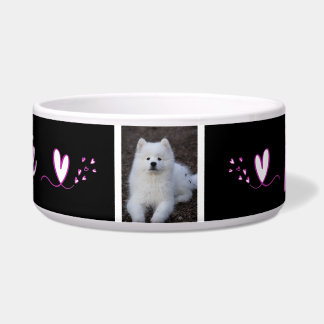 Tigela Écuelle Ecuelle, bol pour chien, chat, animal de c