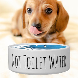 Tigela Engraçada Não Água De Banheiro Pet Dog Cerâmica Bo