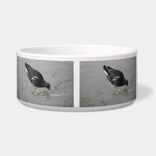 Tigela Engraçado Moorhen Tome uma taça de Arco