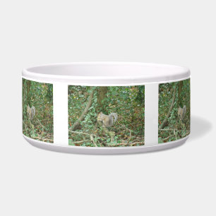 Tigela Esquilo com Acorn Dog Bowl