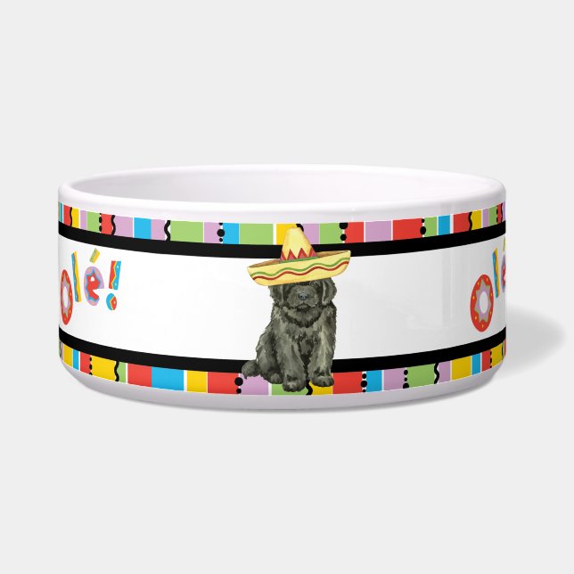 Tigela Fiesta Newfound Pet Bowl (Esquerda)