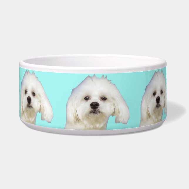 Tigela Filhote de cachorro maltês do cão branco (Frente)