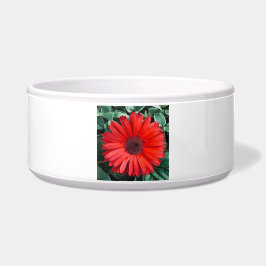 Tigela Flor de Margarida Laranja Floral Brilhante Moderna