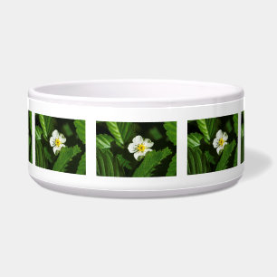 Tigela Flor de Morango Selvagem