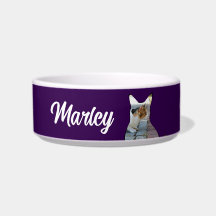 Forma de foto de gato, cerâmica