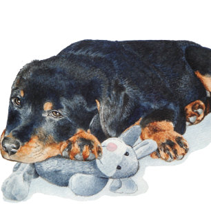 Tigela foto de filhote de cachorrinho de ursinho rottweil