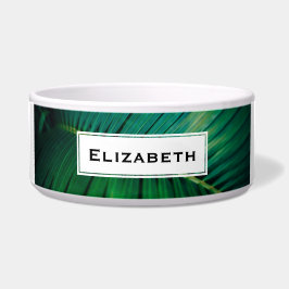 Tigela Foto de Natureza da Floresta Tropical de Folha Ver