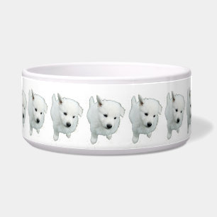 Tigela Fotografia do Fluffy White Puppy