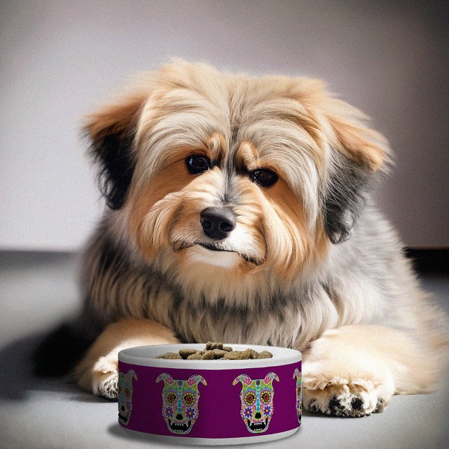 Tigela Galinha de açúcar canja (Criador carregado)