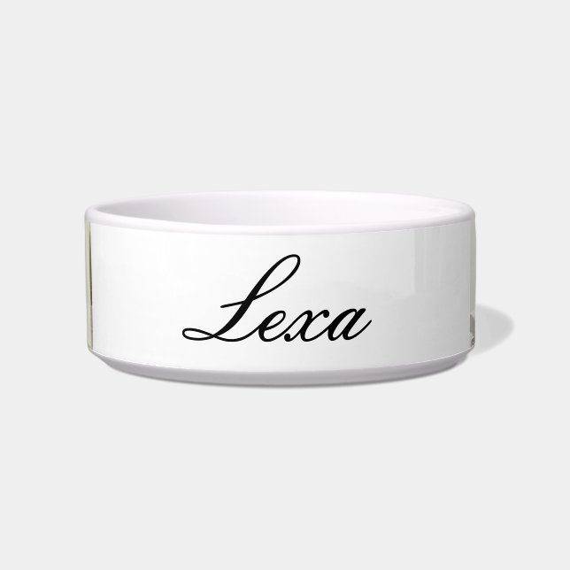 Tigela Gata de gato - Água de companhia personalizada e C (Frente)