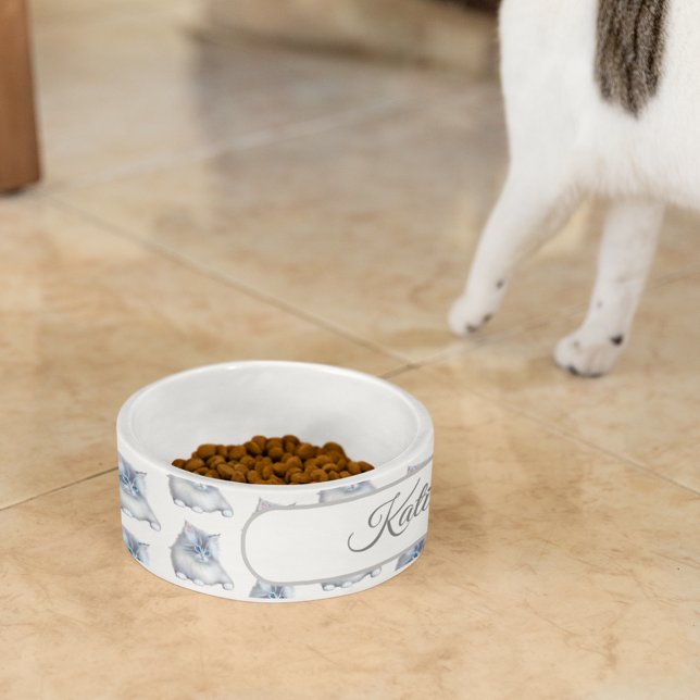 Tigela Gatinho fofo branco e cinza com pelo fofinho e fel (Criador carregado)