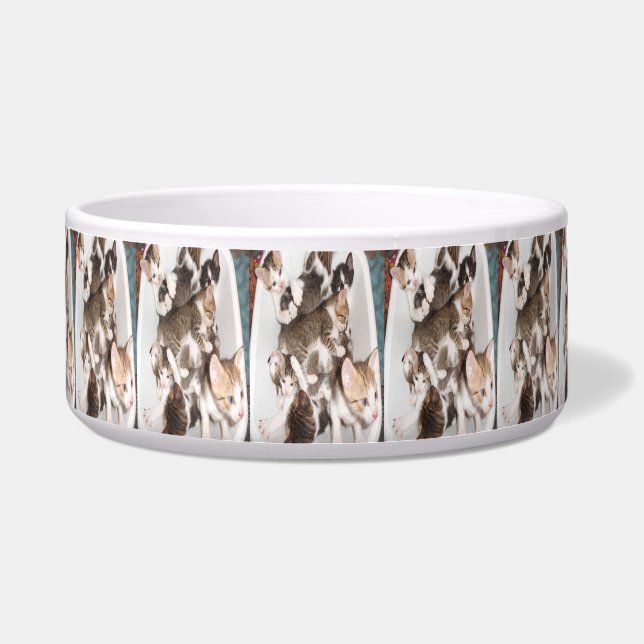 Tigela Gatinhos e gatos que poderiam fazer sem eles (Frente)