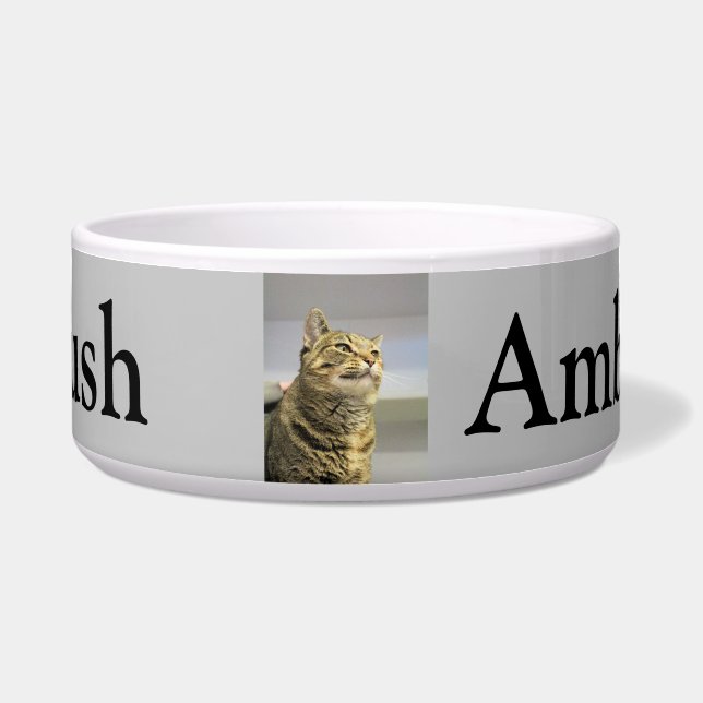 Tigela Gato (Frente)