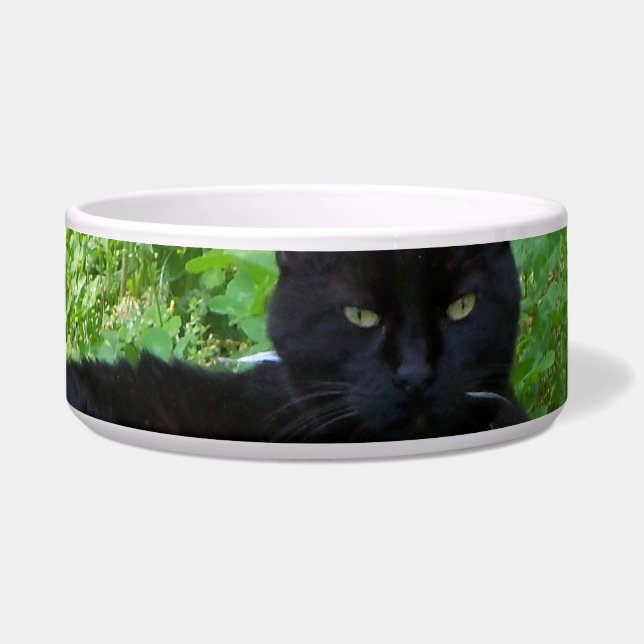 Tigela Gato Bombay Deitado no Recipiente de Comida de Tre (Frente)