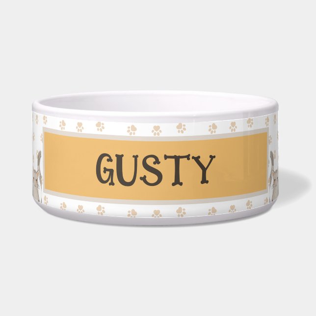 Tigela Gato de Pet de Arte de Gatinhos e Gatinhas (Frente)