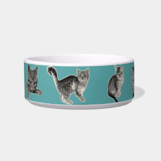 Tigela Gato Fofo e Engraçado