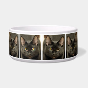 Tigela Gato Preto