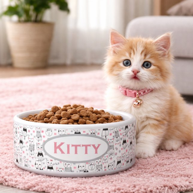 Tigela Gatos (Criador carregado)