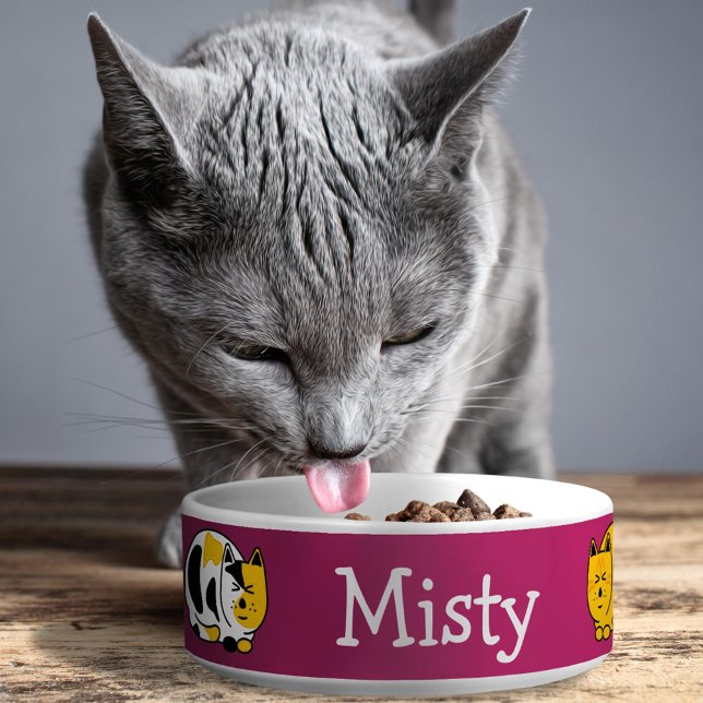 Tigela Gatos Calico e Tabby Conteúdo Personalizável (Criador carregado)