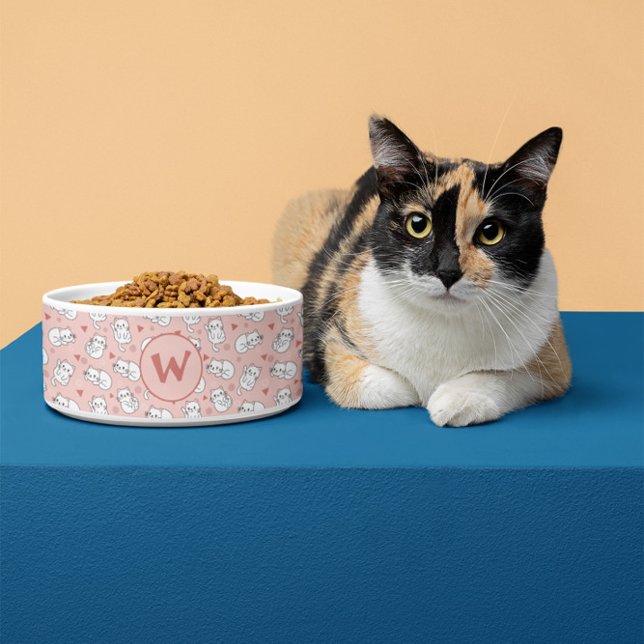 Tigela Gatos Divertidos Personalizados em Rosa e Branco p (Criador carregado)