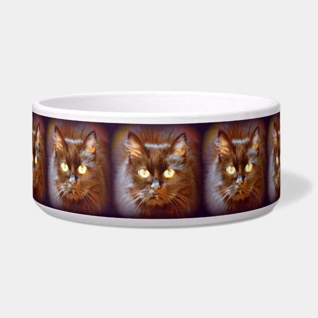 Tigela gatos pretos (Frente)