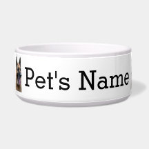 German shepherd, Alsation. O nome do seu cachorro.