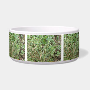 Tigela Grafopper Camouflage Dog Bowl