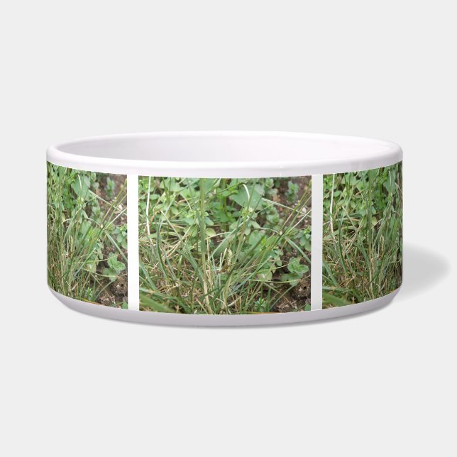 Tigela Grafopper Camouflage Dog Bowl (Frente)