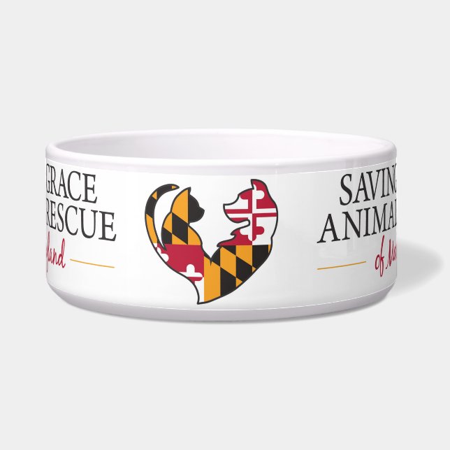 Tigela Grande bacia da tábua de salvação (Frente)