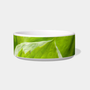 Tigela Green Hosta Folaves