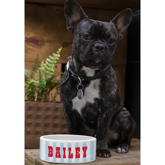Tigela Grito Azul Branco Cachorro Cachorro Cachorro Cacho (Cute Blue White Stripes Dog Puppy Cat Name Food Bowl)