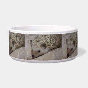 Tigela Hedgehog Sorridente