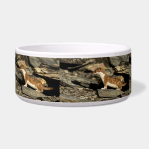 Tigela Hunting Weasel